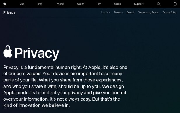 Apple privacy statement